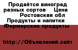 Продаётся виноград разных сортов. › Цена ­ 100 - Ростовская обл. Продукты и напитки » Фермерские продукты   